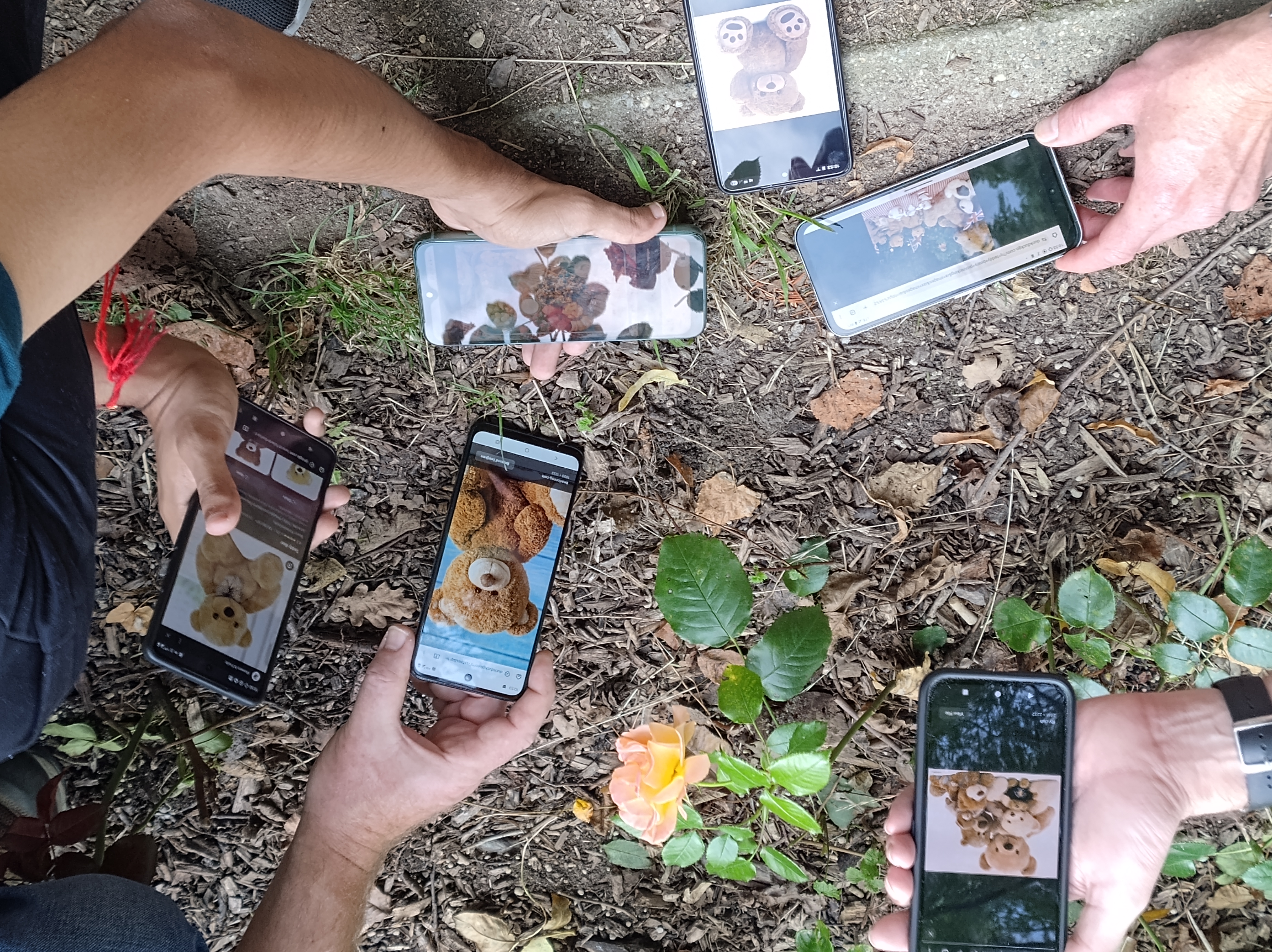 Teddy bear picnic at rose garden